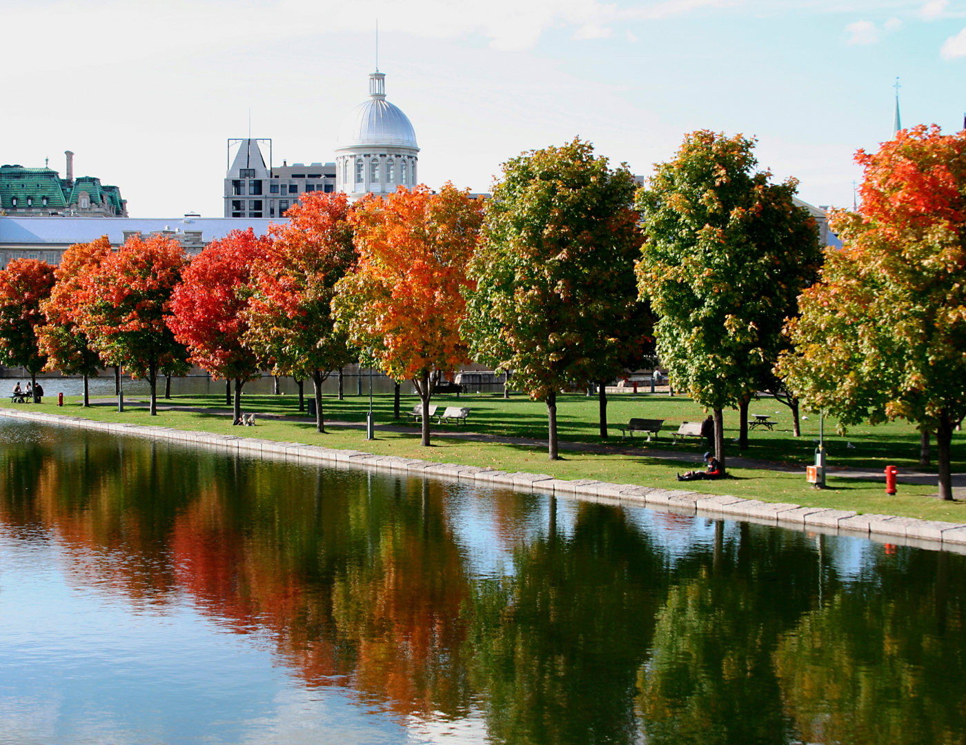 Automne à Montréal